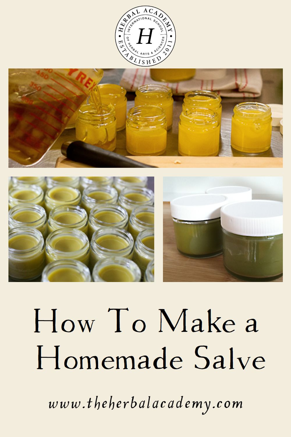 How To Make a Homemade Salve | Herbal Academy | Making a homemade salve is easier than you think! We are sharing two recipes and a tutorial for making a homemade salve.