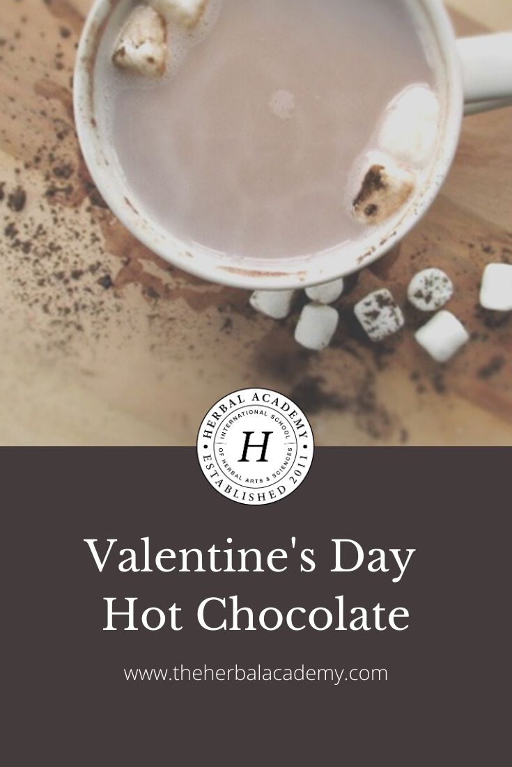 Valentine's Day Hot Chocolate | Herbal Academy | This Valentine's Day Hot Chocolate is melt-in-your-mouth delicious! This easy homemade hot chocolate recipe can be made into an adult friendly beverage.