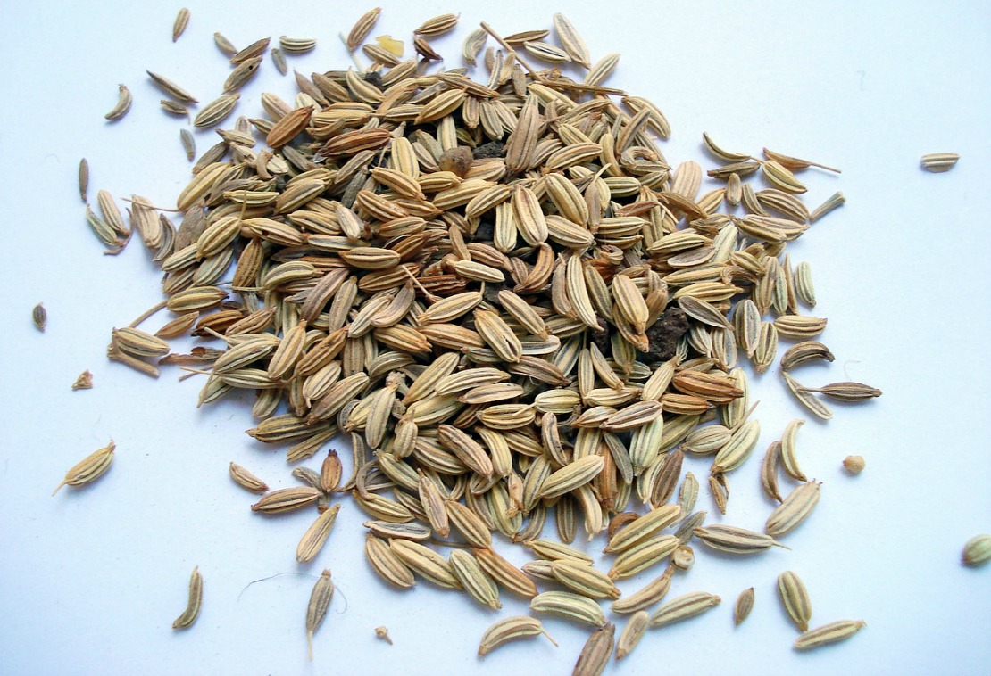 dried fennel seed