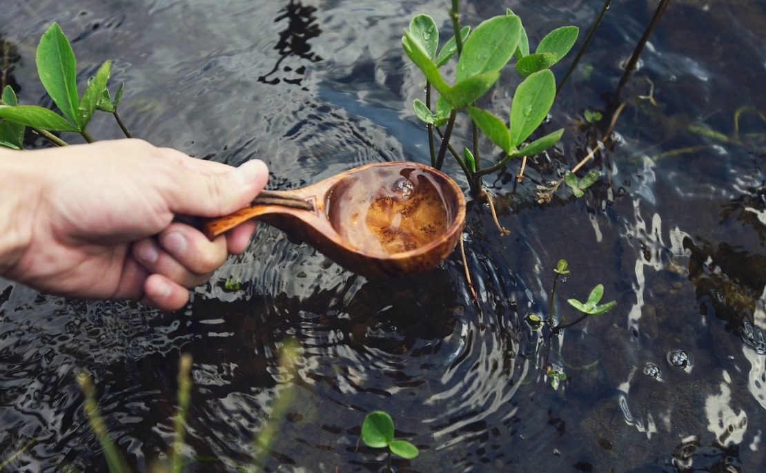 How To Make Compost Tea