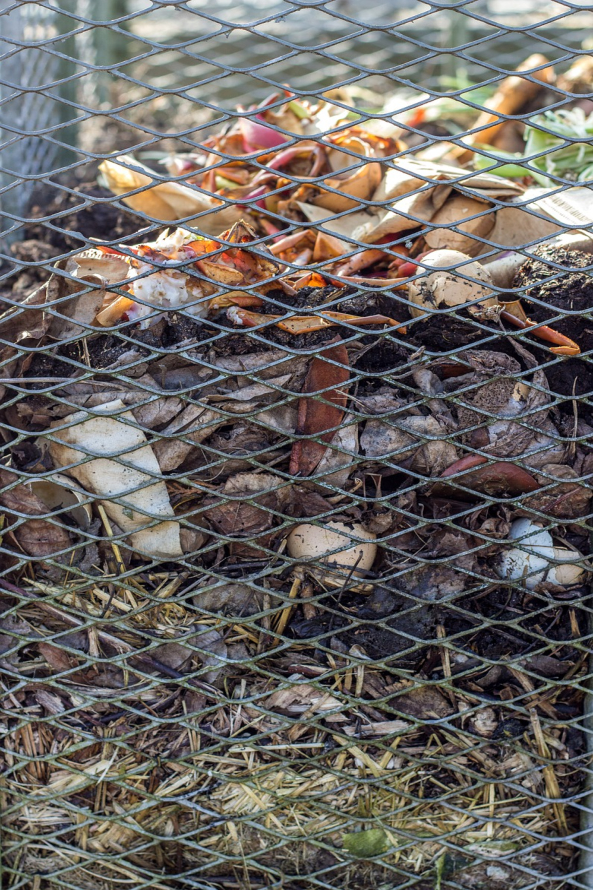 layered compost in wire container