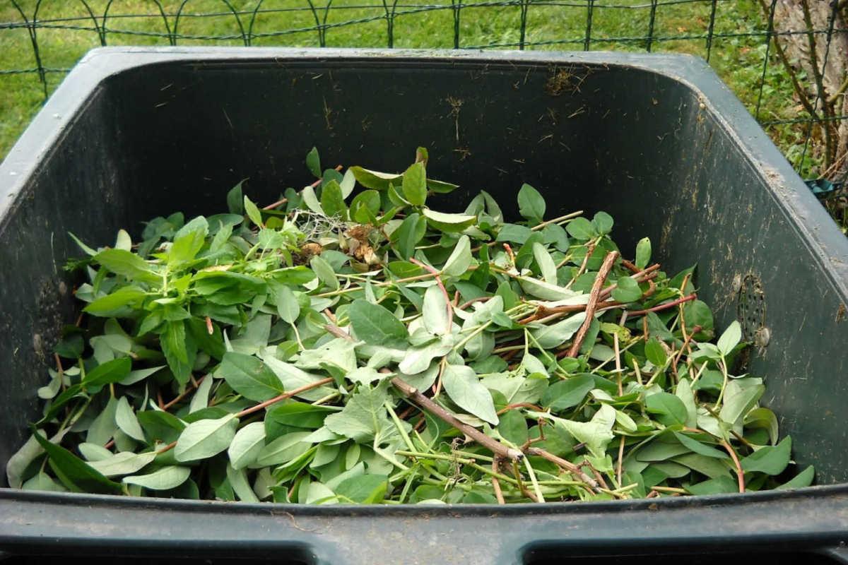 green leaves in a composting container