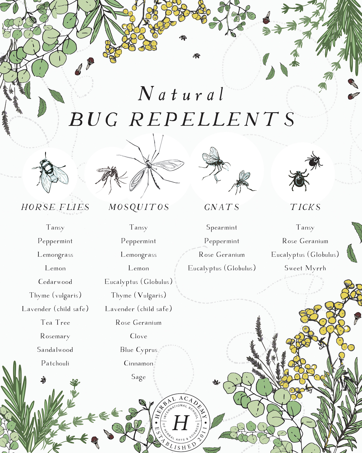 natural bug repellents graphic