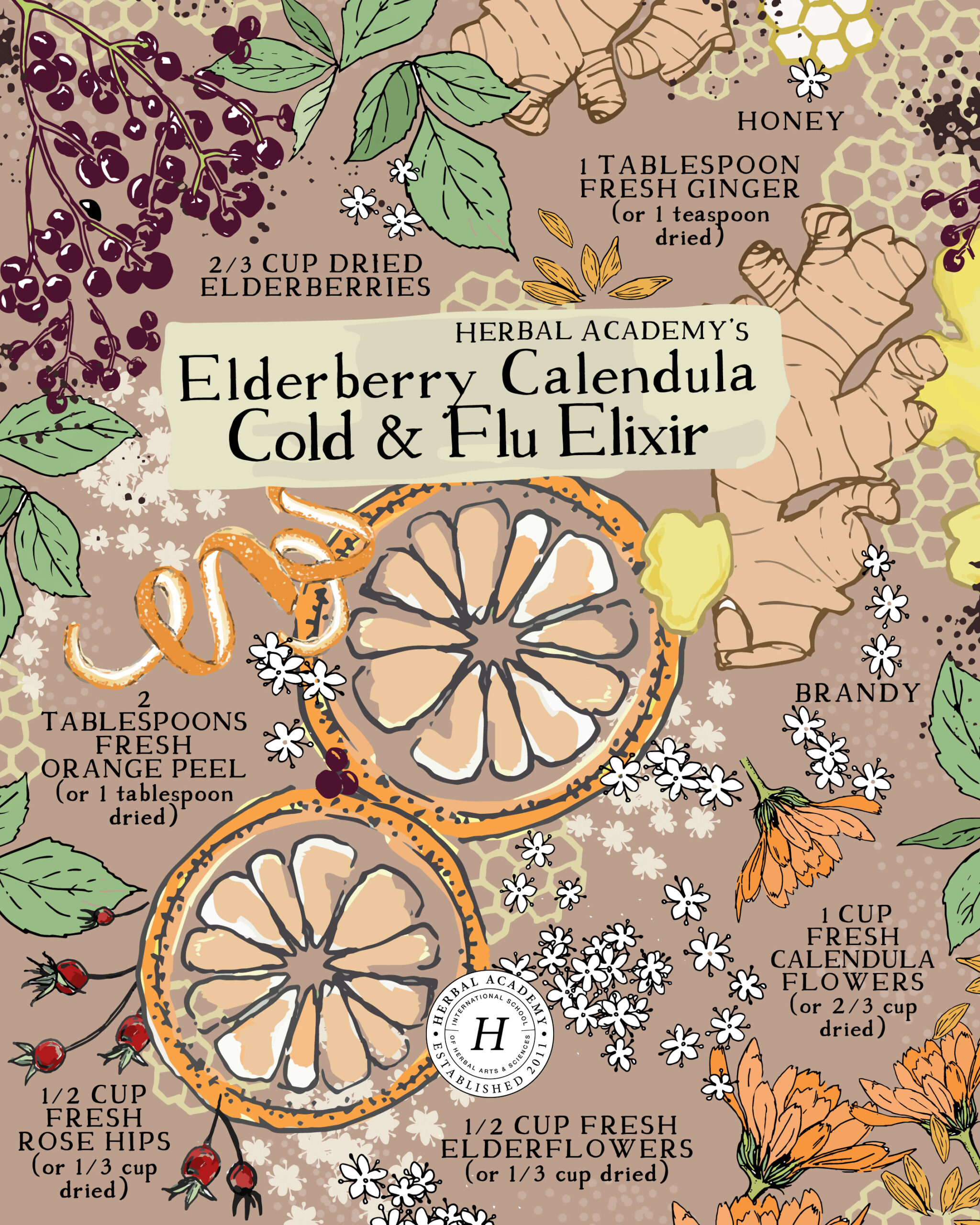 Elderberry Calendula Elixir recipe by Herbal Academy