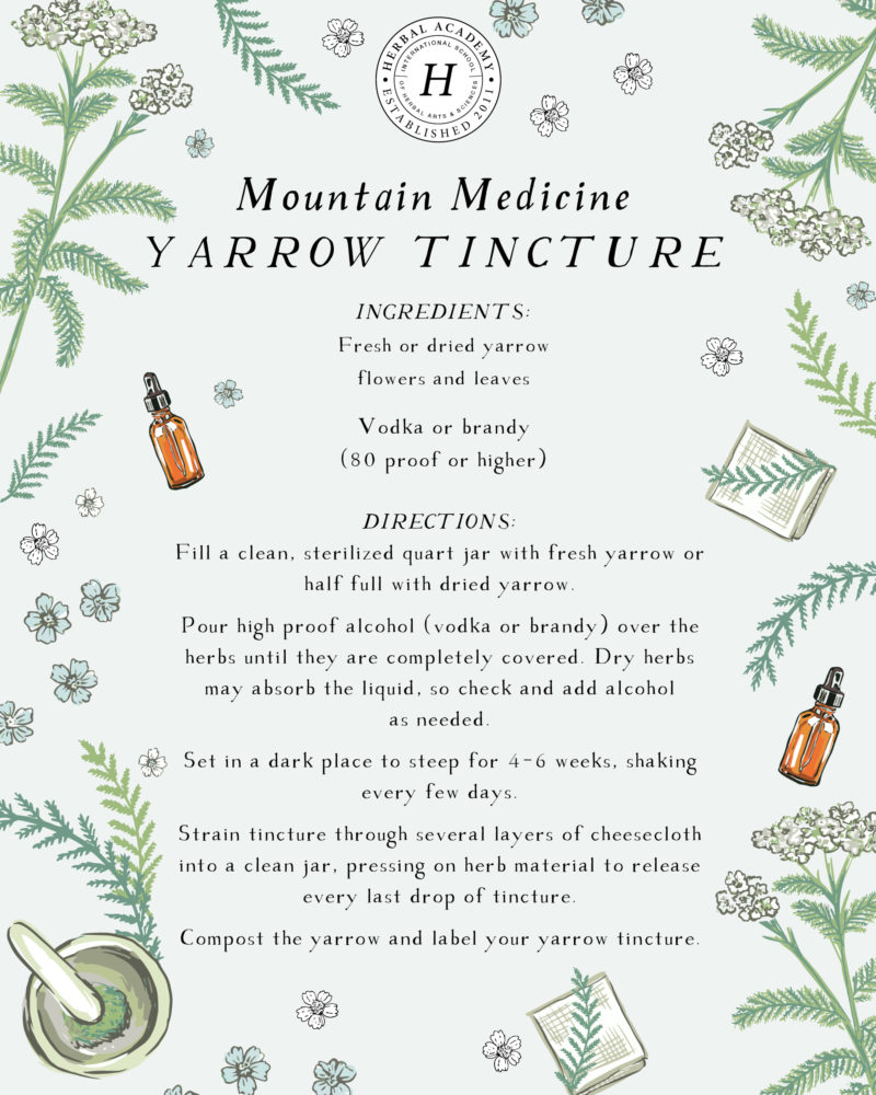 Mountain Medicine: Yarrow and Arnica Uses | Herbal Academy | Yarrow and arnica tinctures and oils are great mountain medicine remedies to add to your first aid kit. Knowing how to use them is incredibly empowering!