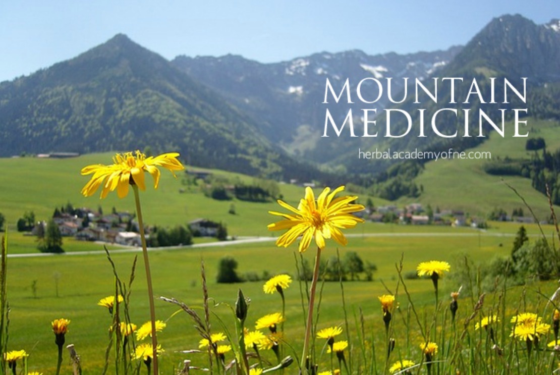 mountain bloom oriental medicine