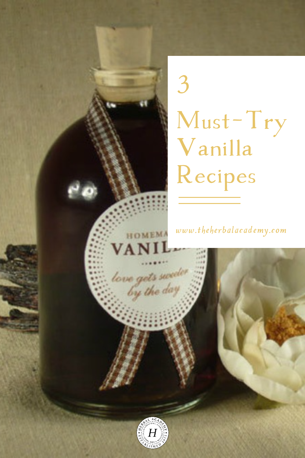 3 must-try vanilla recipes by Herbal Academy