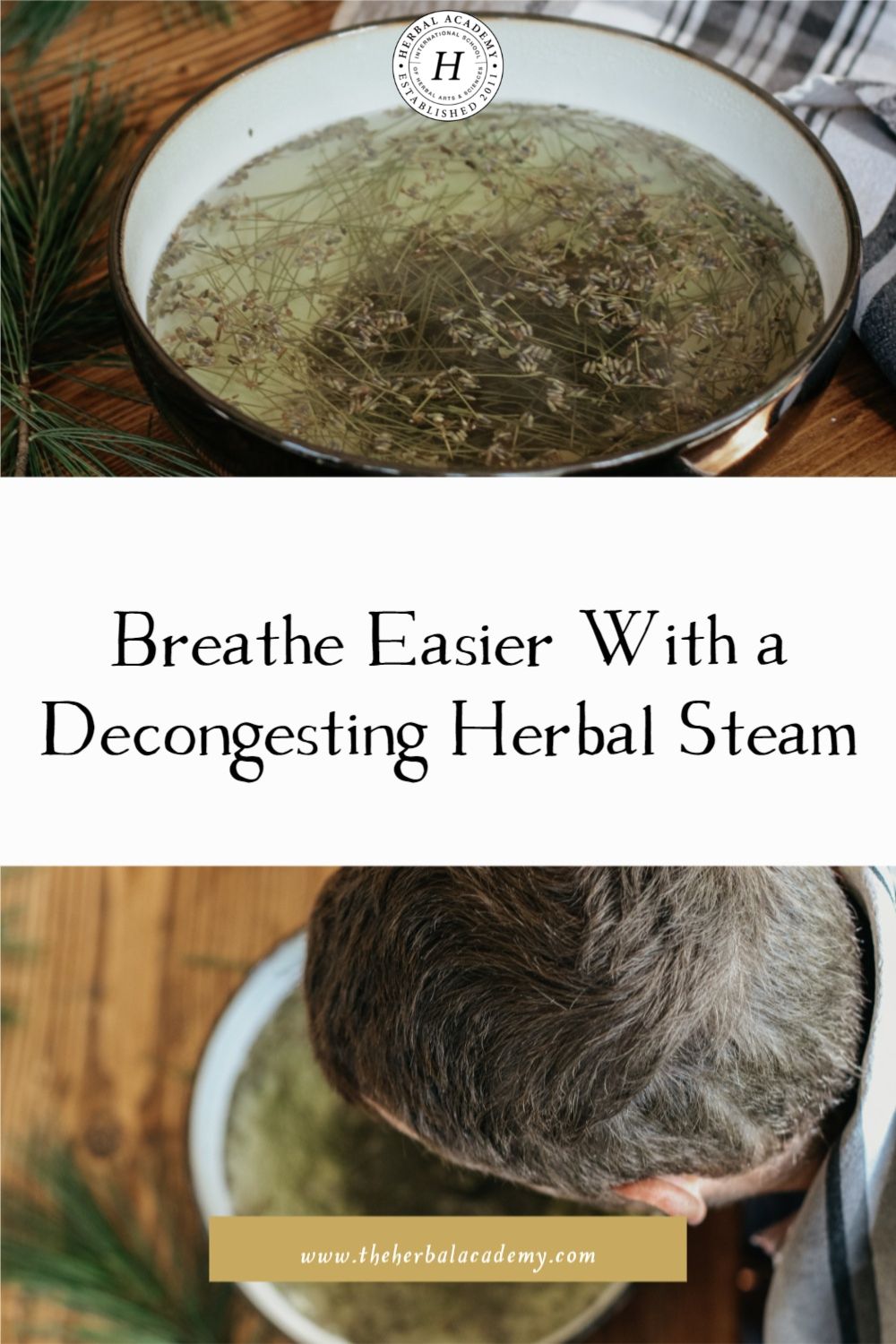 Breathe Easier With a Decongesting Herbal Steam | Herbal Academy | How to make a decongesting herbal steam! Choose the right natural decongestants to unclog your sinuses and help you breathe easier.