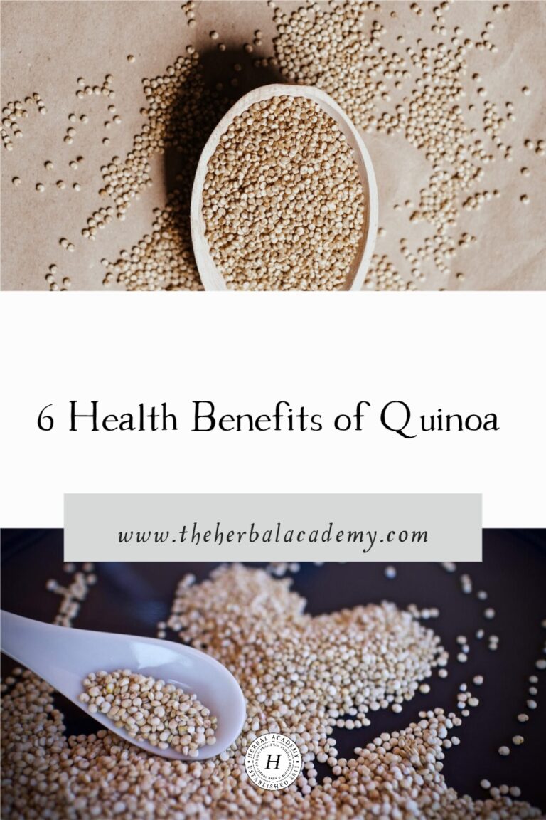 6 Health Benefits of Quinoa Herbal Academy