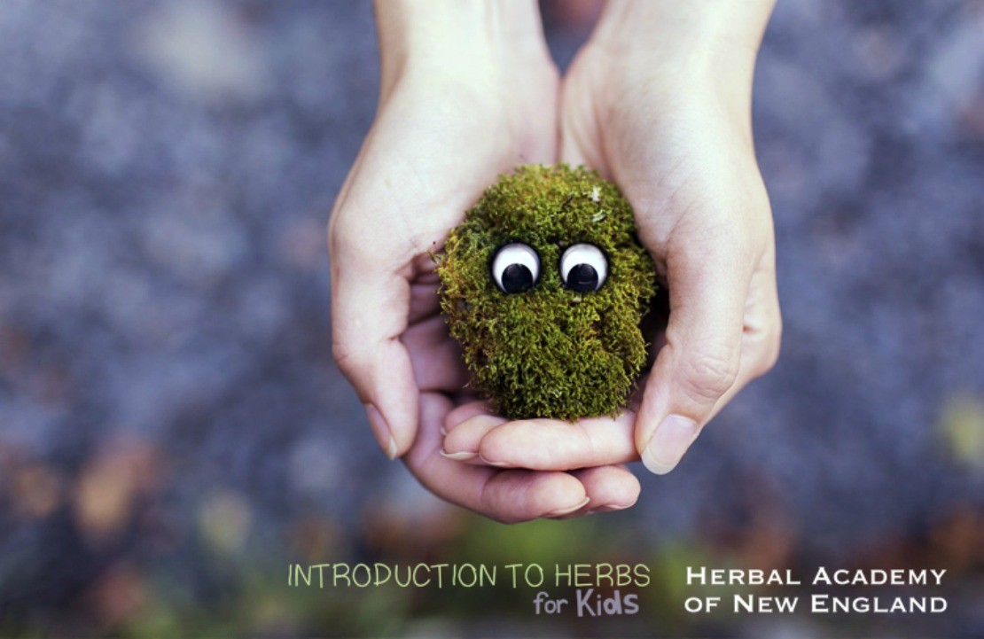 Introduction to Herbs for Kids