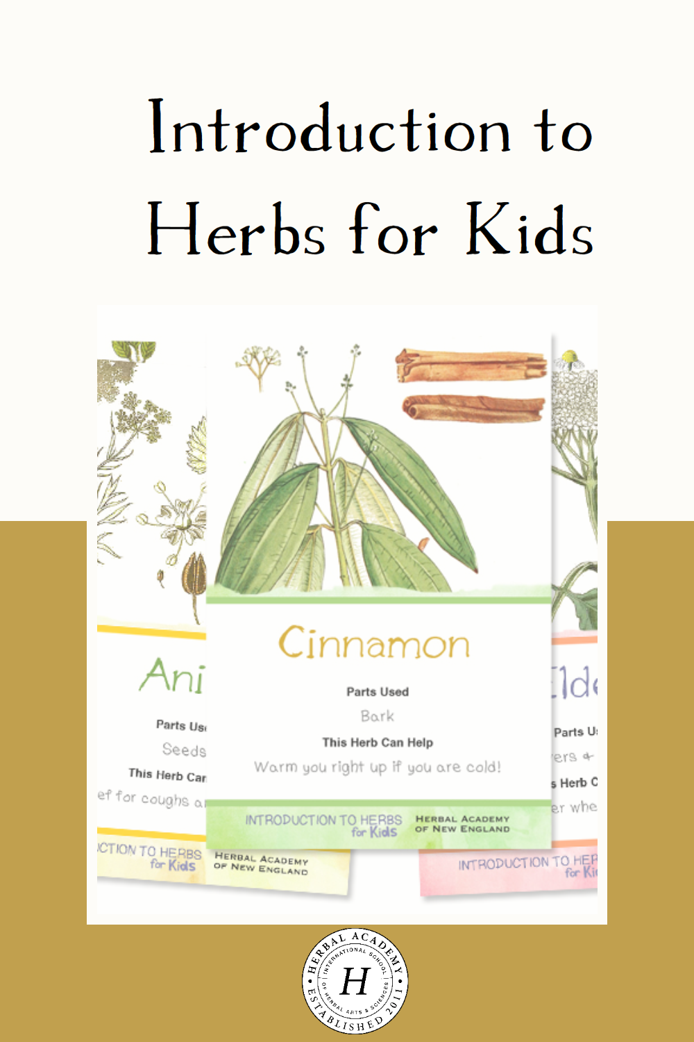 An 8 part series for children to learn the benefits of herbalism. The Introduction to Herbs for Kids mini course is a wonderful teaching tool for parents!