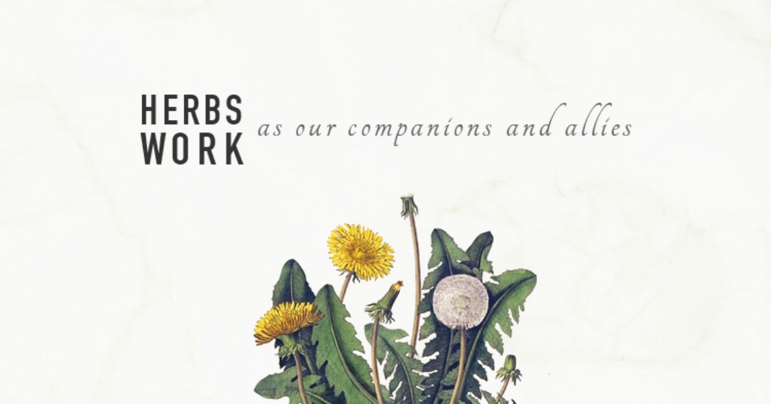 Herbs Work As Our Companions and Allies - Herbal Academy