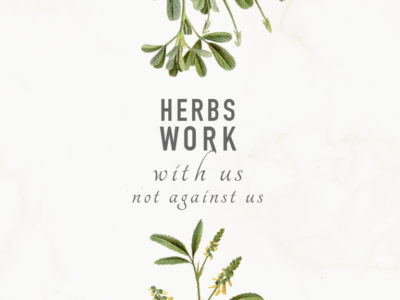 herbs work