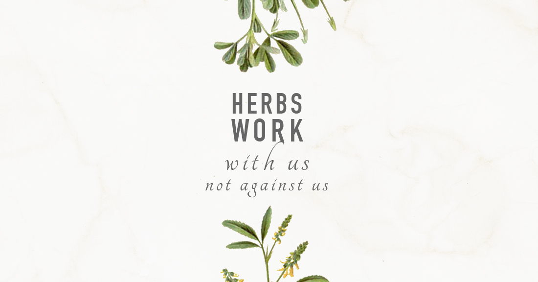 herbs work