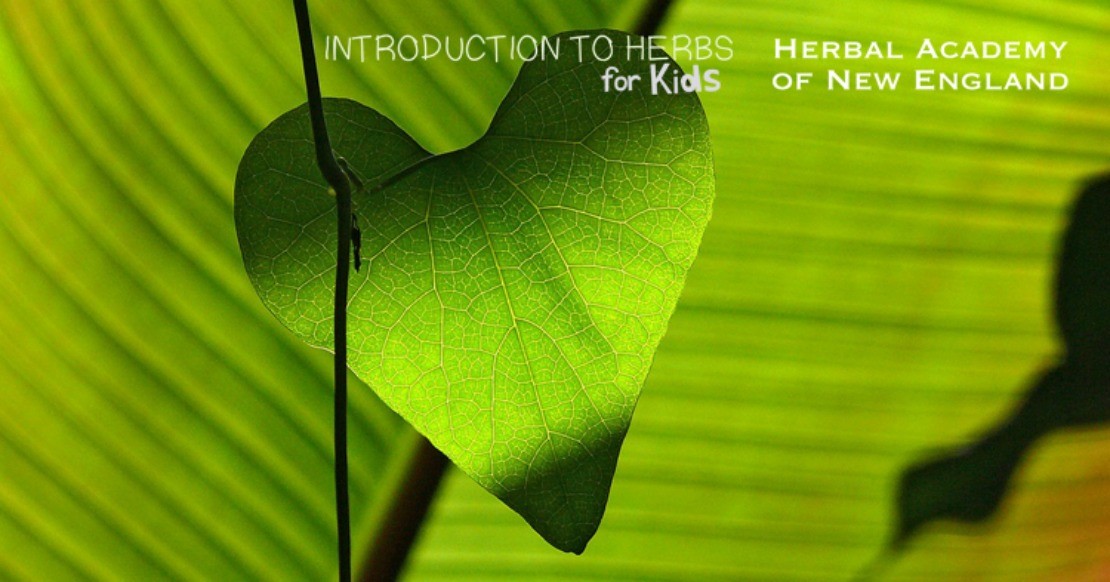 Introduction to Herbs for Kids