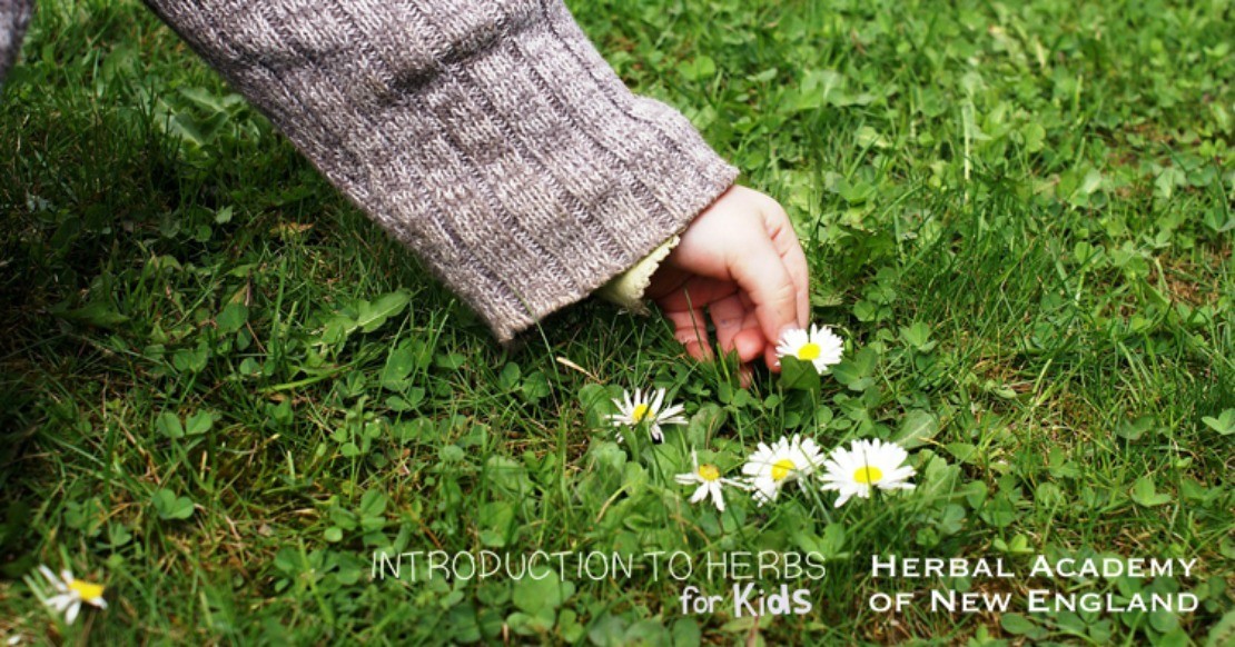 Introduction to Herbs for Kids