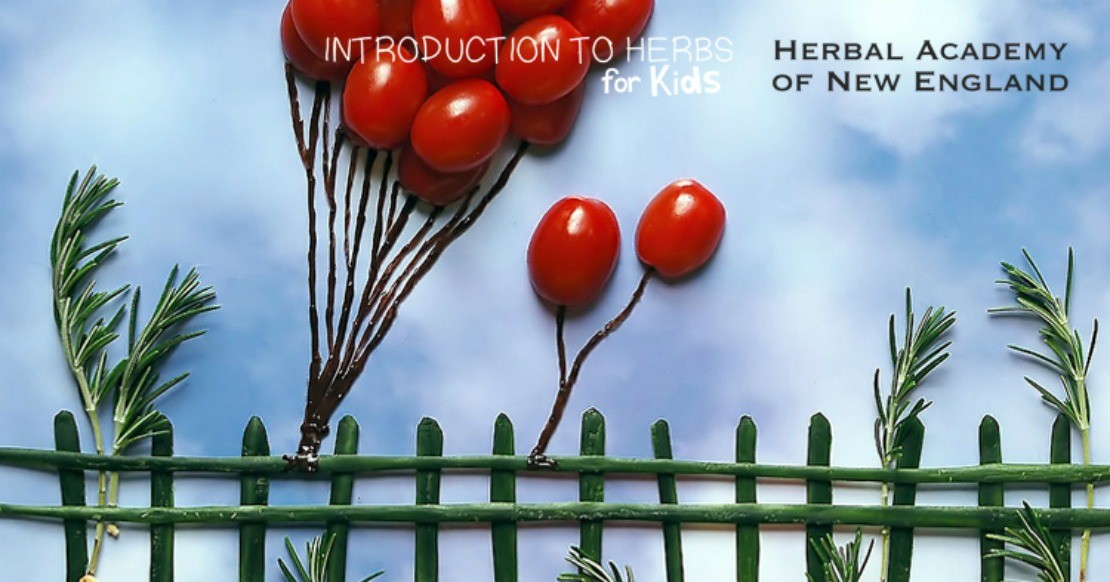 Introduction to Herbs for Kids