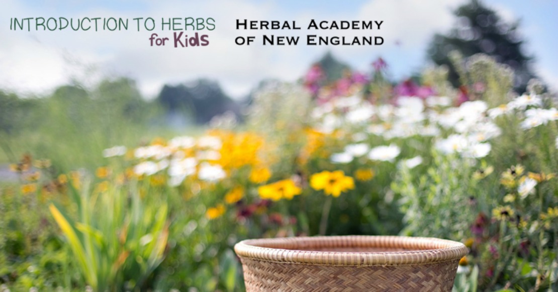 Introduction to Herbs for Kids