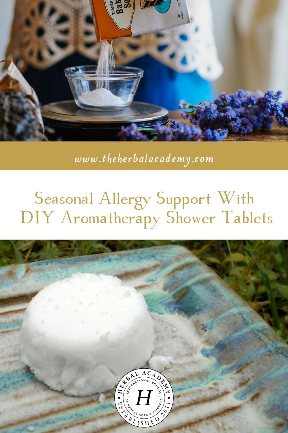 Seasonal Allergy Support With DIY Aromatherapy Shower Tablets | Herbal Academy | Stay well with herbs! Aromatherapy Shower Tablets are one of many seasonal allergy supports to try this spring.