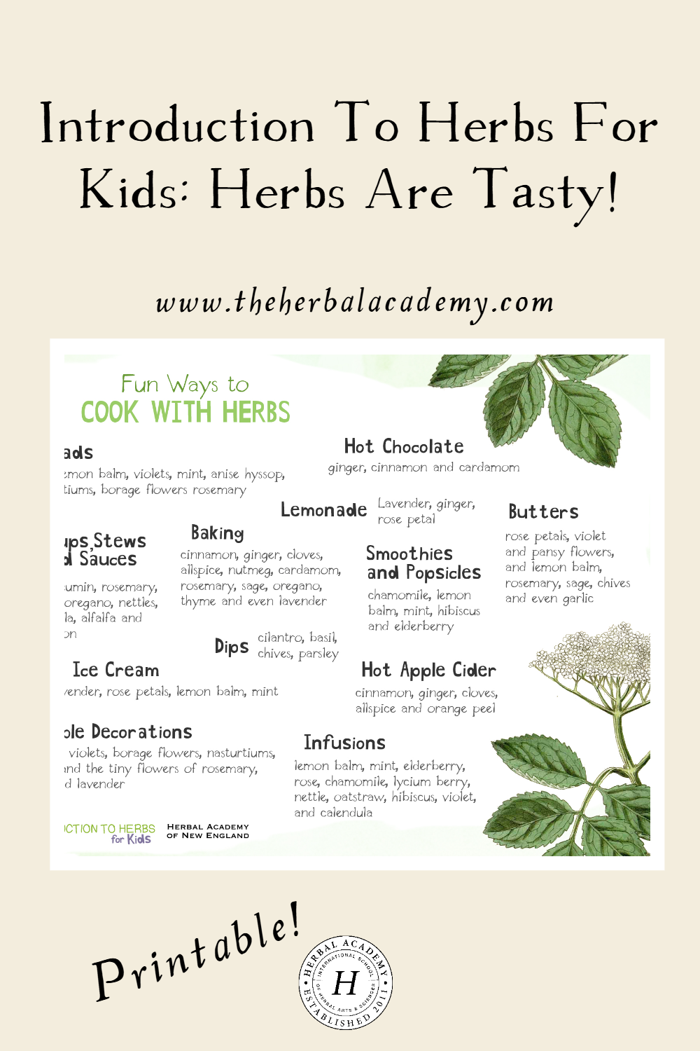There are many wonderful ways to cook with herbs! This Herbs are Tasty lesson wraps up the Free Introduction to Herbs for Kids series with delicious recipes.