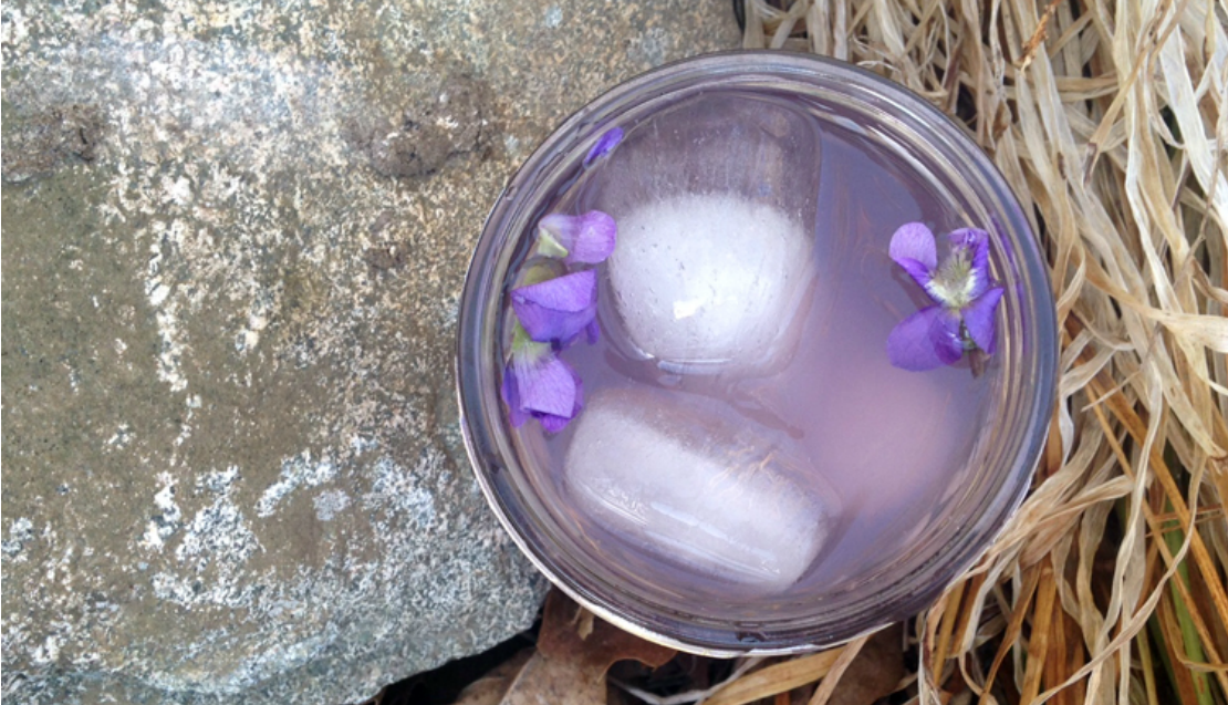 Refreshing Violet Lemonade | Herbal Academy | This refreshing violet lemonade recipe can be especially helpful for children, as they might resist a tincture but will happily drink lemonade!