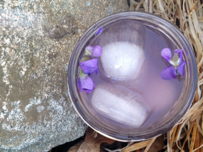 Refreshing Violet Lemonade | Herbal Academy | This refreshing violet lemonade recipe can be especially helpful for children, as they might resist a tincture but will happily drink lemonade!
