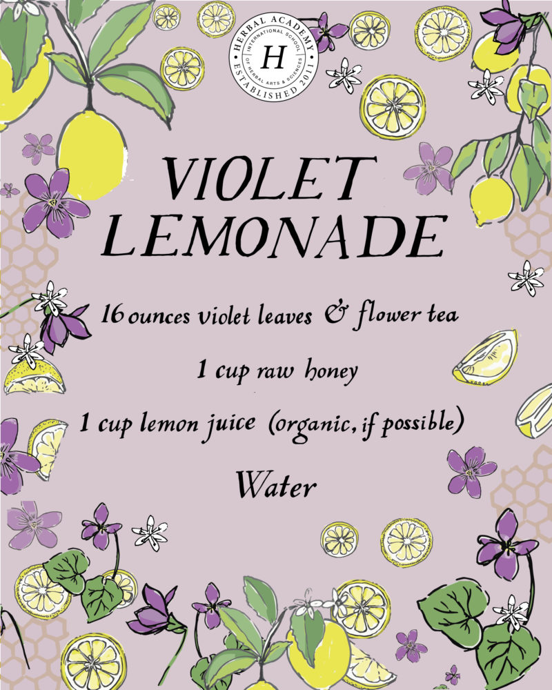 Refreshing Violet Lemonade | Herbal Academy | This refreshing violet lemonade recipe can be especially helpful for children, as they might resist a tincture but will happily drink lemonade!