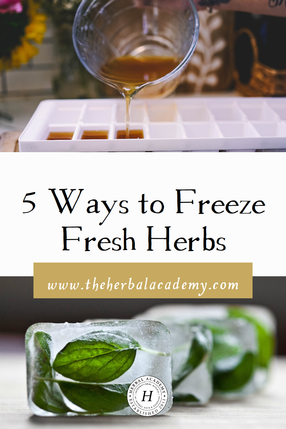 Freezing herbs allows you to store your fresh herbs longer, making your harvest more versatile! Freeze herbs in oil, in water, or as paste.