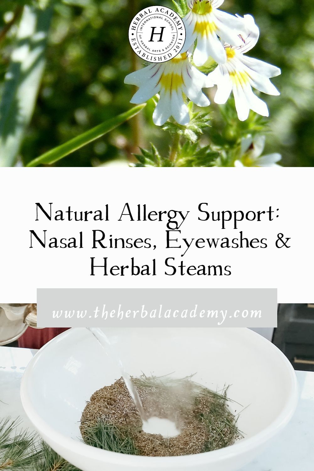 Natural Allergy Support: Nasal Rinses, Eyewashes & Herbal Steams | Herbal Academy | Learn the instructions and herbal recommendations for how to make nasal rinses, eyewashes, and herbal steams for natural allergy support.