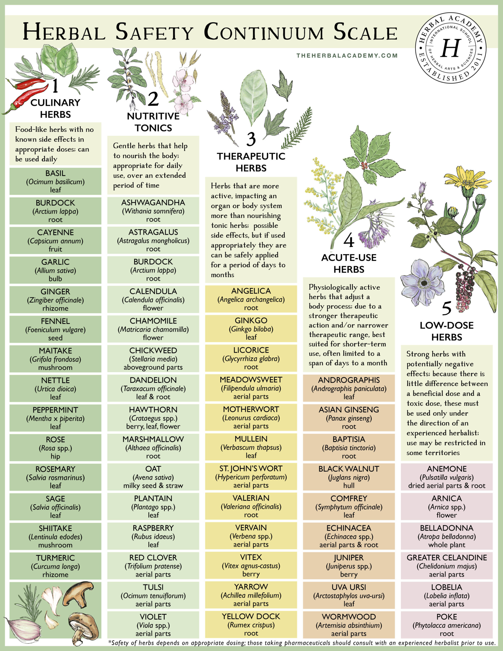You can use the herbal safety continuum scale to help determine and visualize where an herb lies on the safety spectrum.