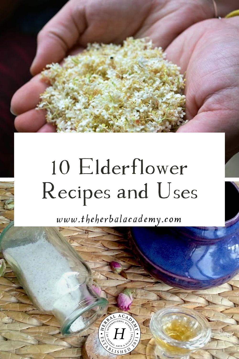 10 Elderflower Recipes and Uses | Herbal Academy | Here is an assortment of elderflower recipes to try yourself. Like us, we hope you find the flower an alluring early-summer resource!