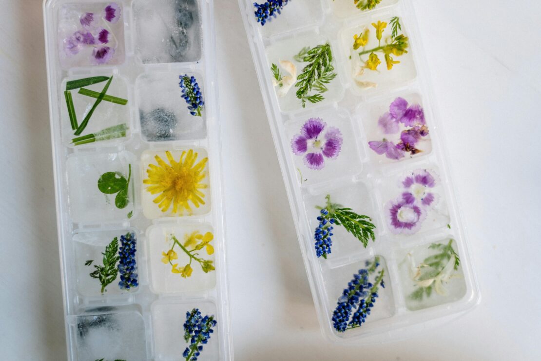 herbs in ice cube trays by Herbal Academy
