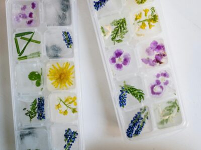 herbs in ice cube trays by Herbal Academy