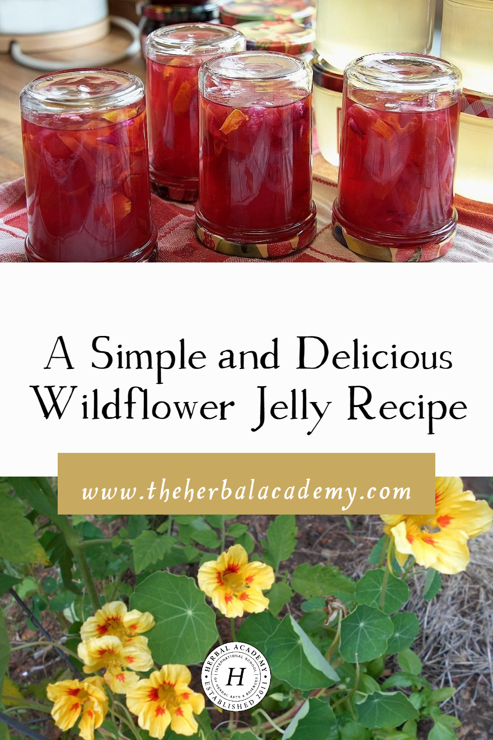 A Simple and Delicious Wildflower Jelly Recipe | Herbal Academy | Think beyond herbal infusions and tinctures and consider new ways to eat your weeds, like in this wildflower jelly recipe.