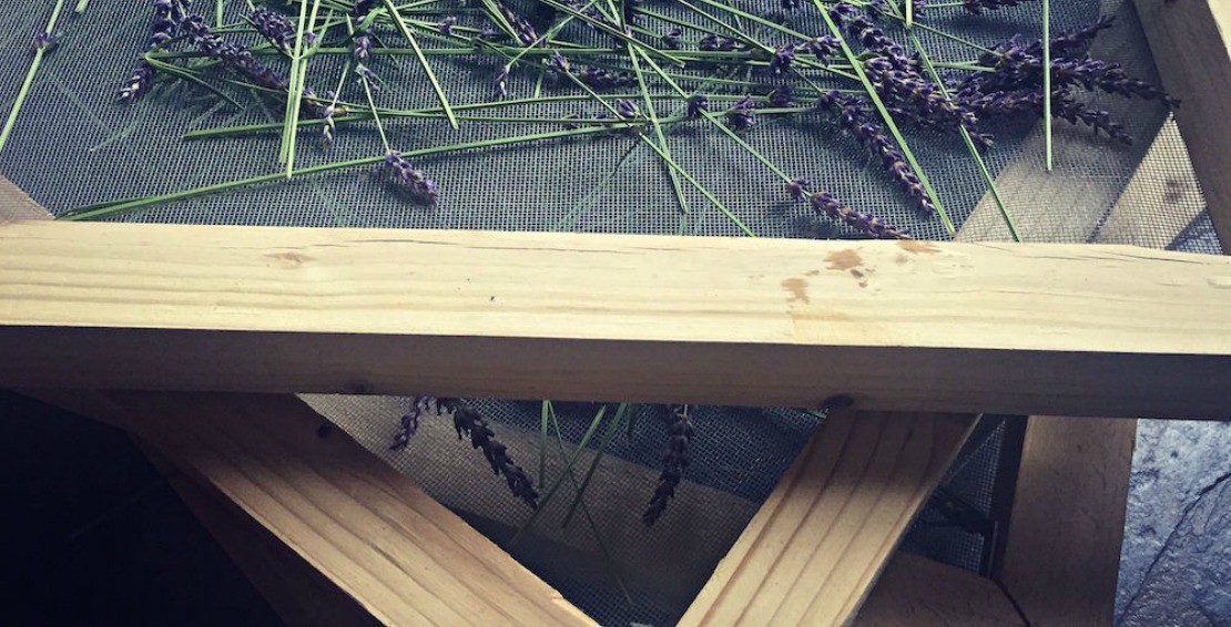 How To Make An Herb And Flower Drying Screen