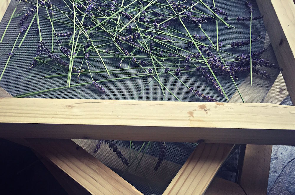 Diy herb drying screen new arrivals