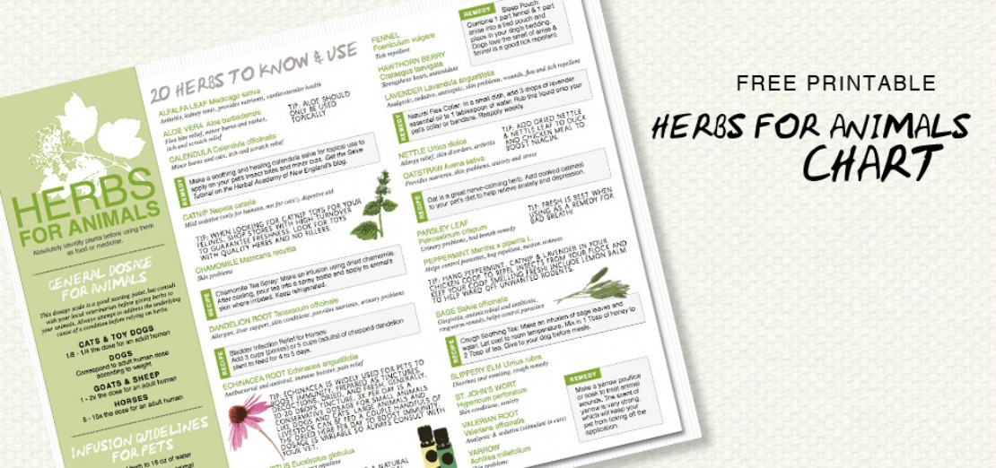 FREE Herbs For Animals Chart Herbal Academy blog