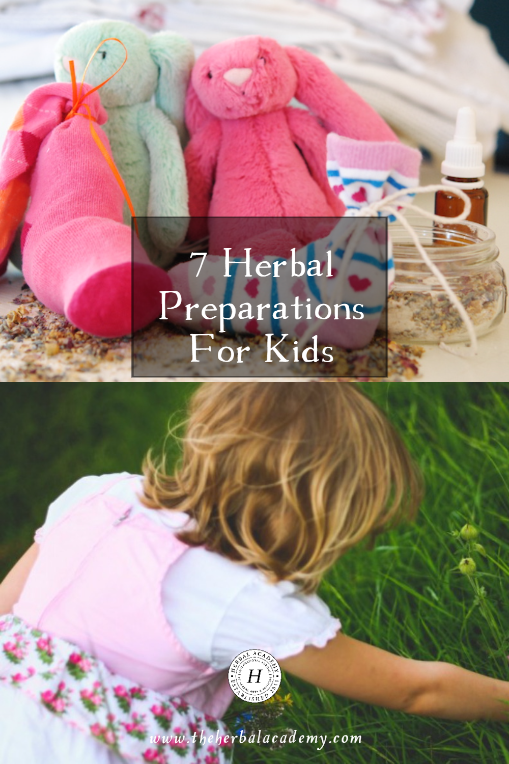 Learn about 7 different types of herbal preparations for kids. These preparations are easy to make and fun for kids to take!