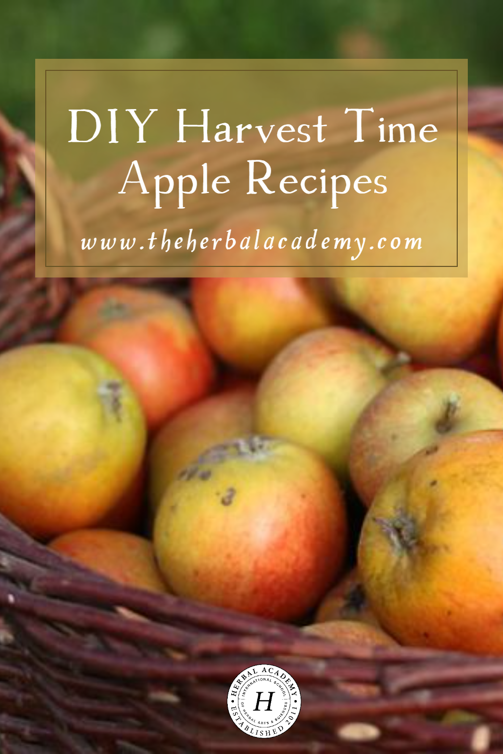 Eaten raw or cooked with warming herbs, tasty apples make a great addition to any diet. These apple recipes are perfect for the family table!