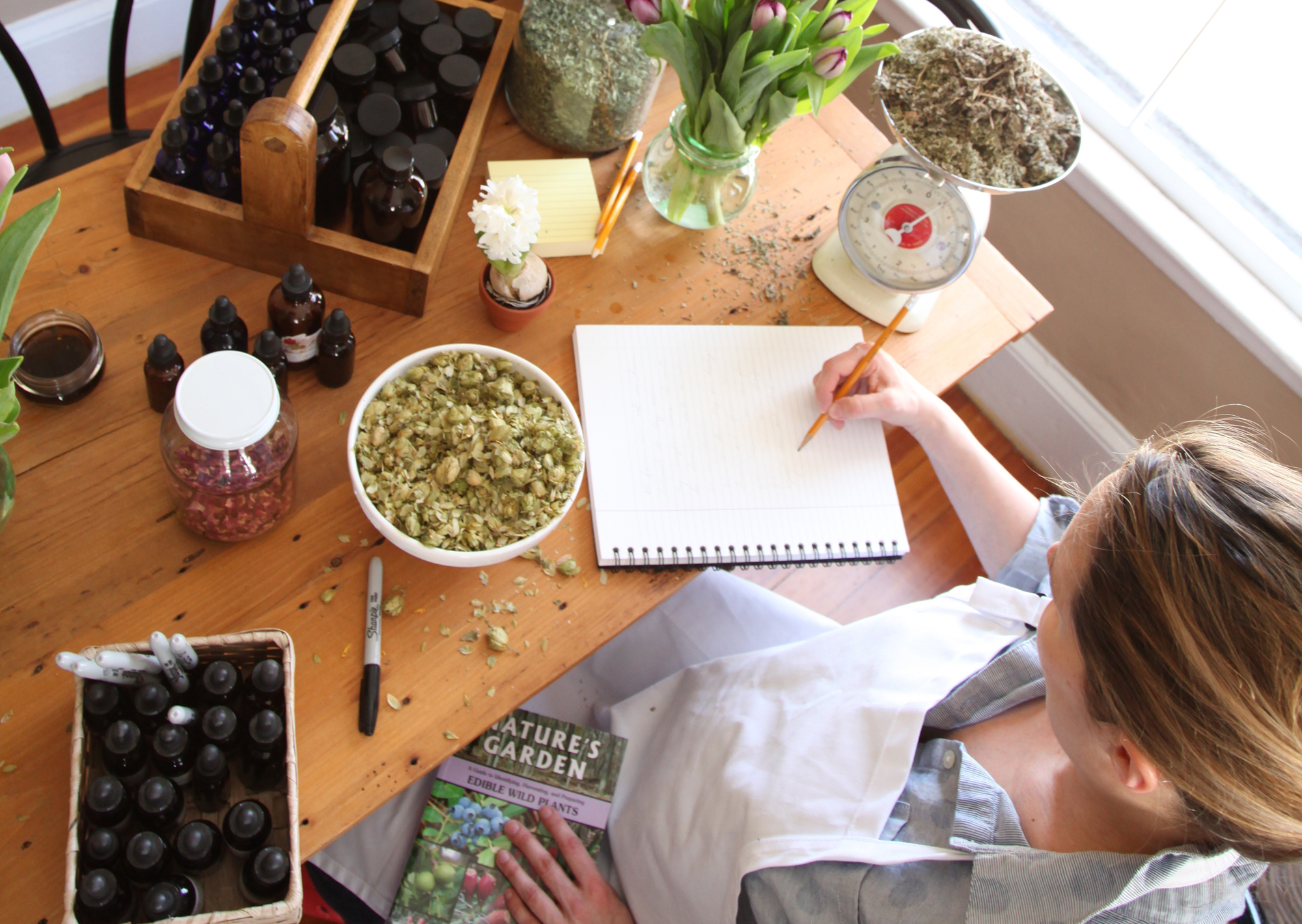 Can You Really Become A Certified Herbalist?