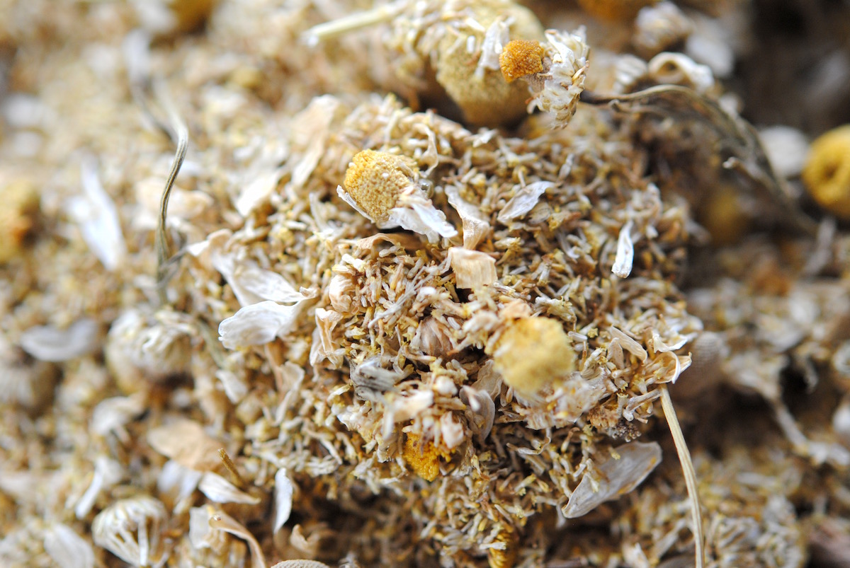 dried chamomile