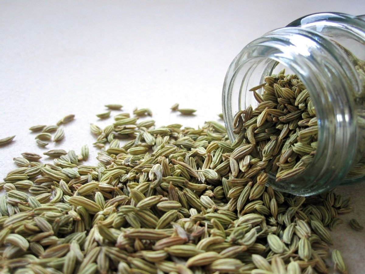 fennel spilling from a glass jar