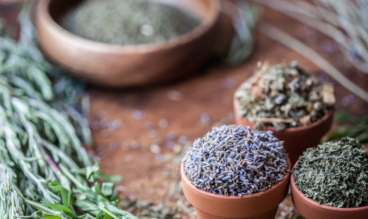 Get started in your Herbalism Studies at the Herbal Academy