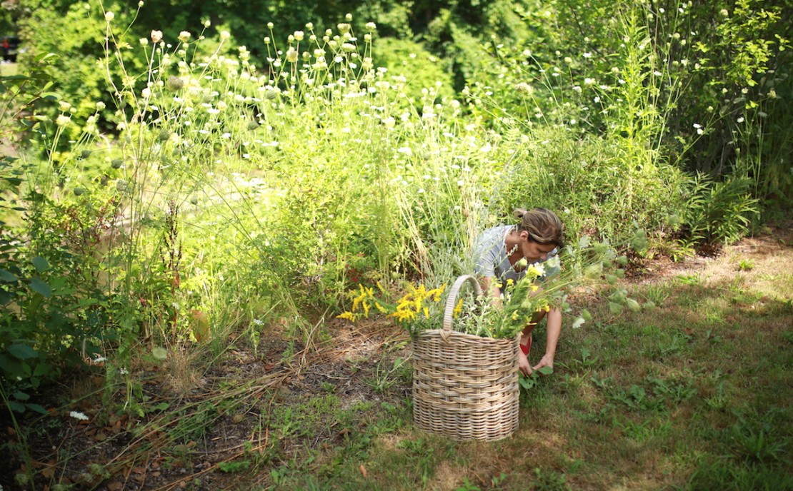 How to Begin your Herbalist Training