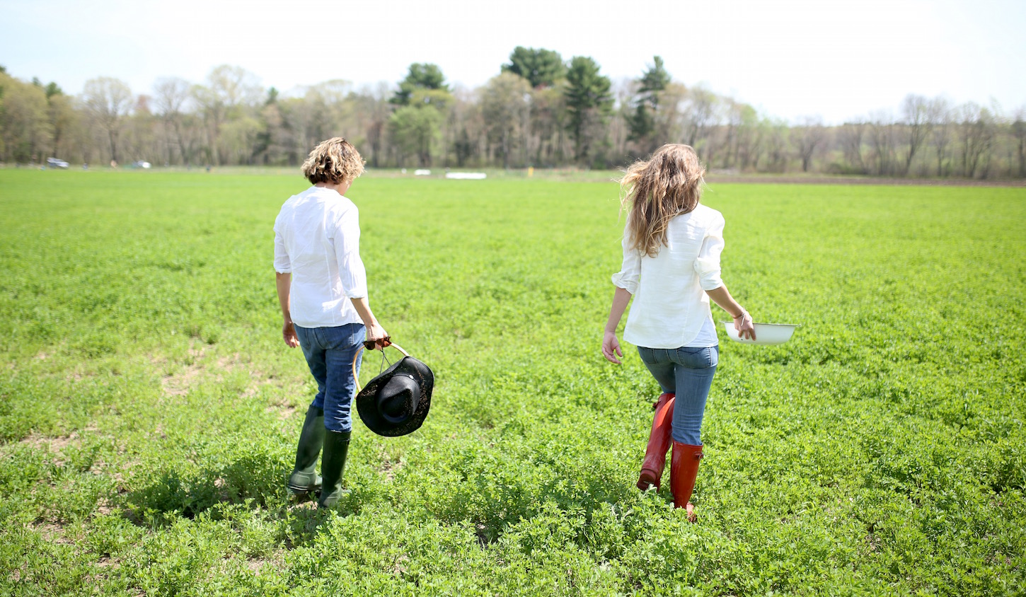 Herbal Academy: The Journey | Herbal Academy | This is the story of how a few herbalists turned a monthly herbal class into the Herbal Academy — an international school of herbal arts and sciences.