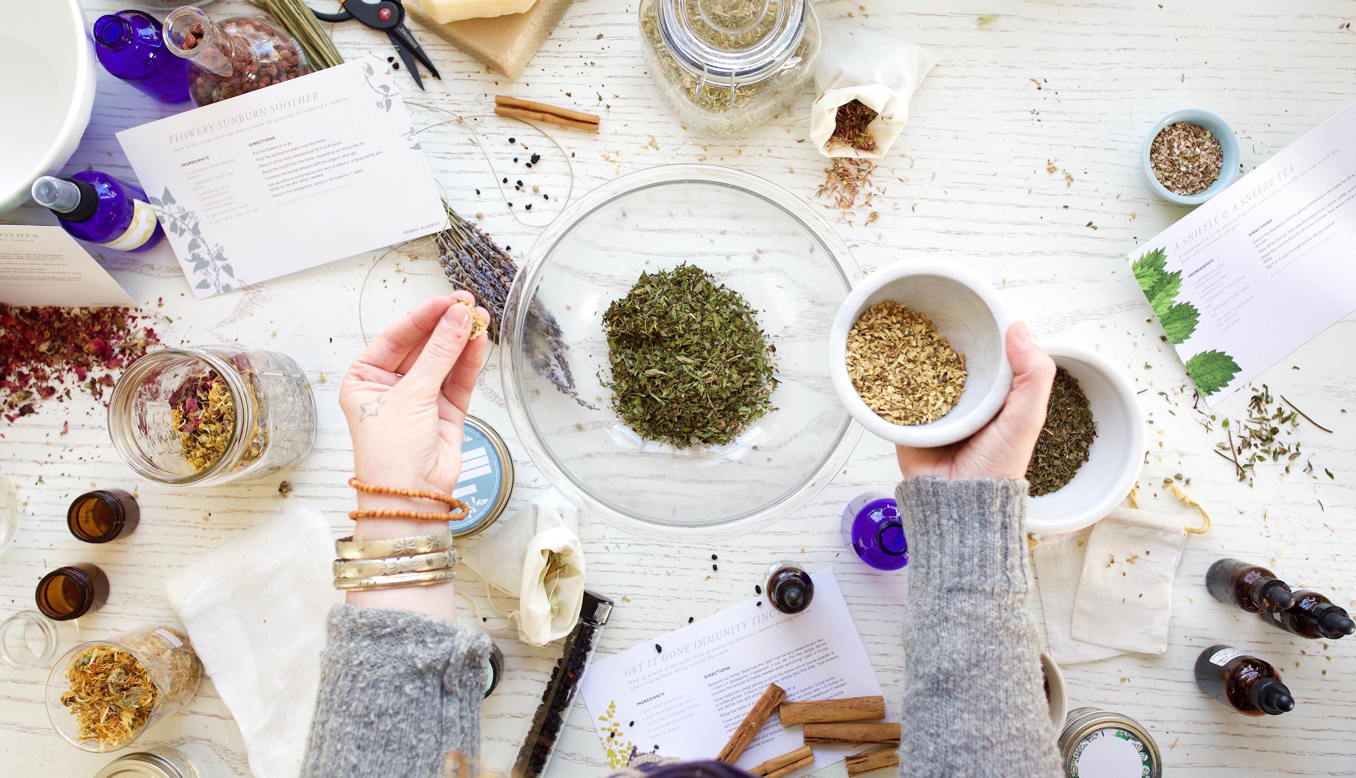 Herbal Sticker Sets – Herbal Academy