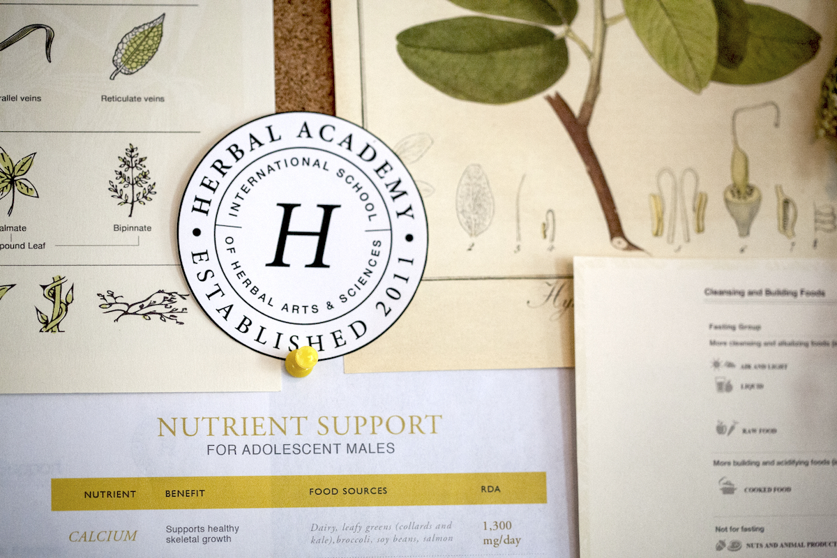 Herbal Academy: The Journey | Herbal Academy | This is the story of how a few herbalists turned a monthly herbal class into the Herbal Academy — an international school of herbal arts and sciences.