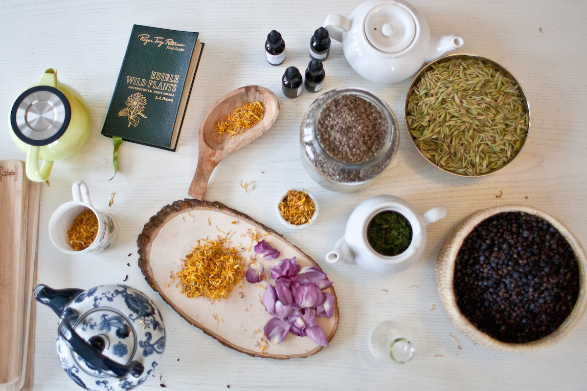 The Online Introductory Herbal Course - for beginners