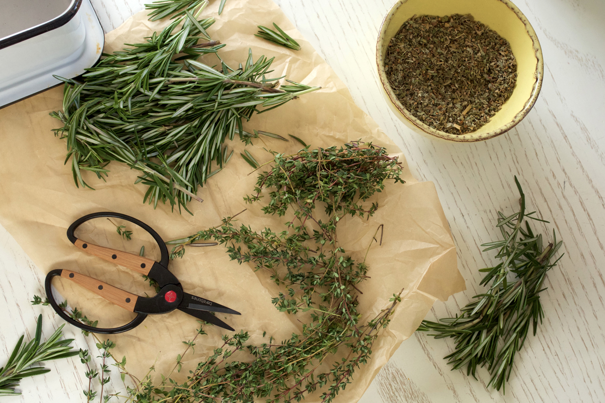 herbalism-courses-and-classes-at-herbal-academy