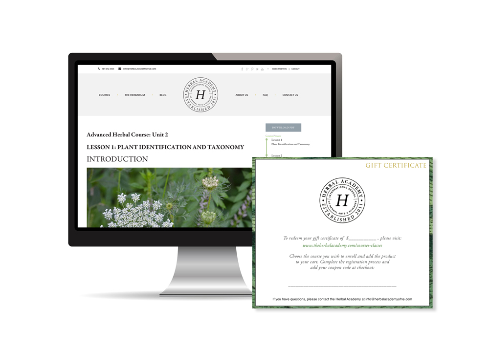 Online Herbalism Courses and certificate
